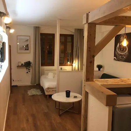 Manaslu Plein Centre Et Chaleureux Apartment Annecy